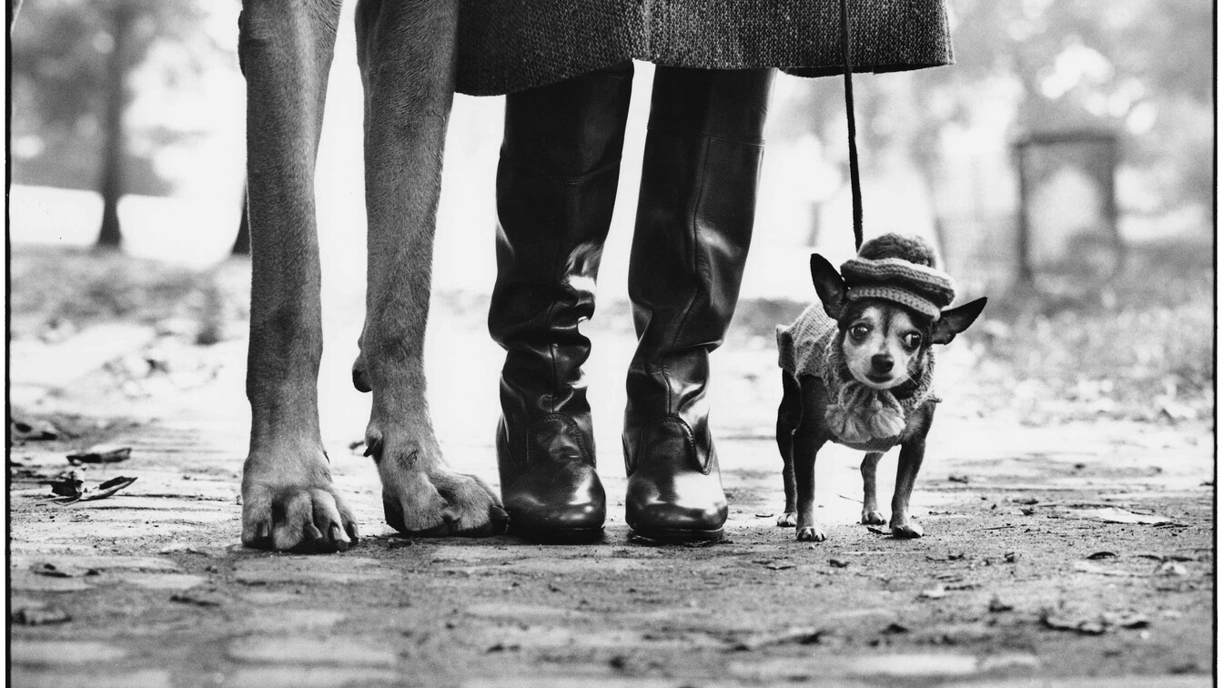 © Elliott Erwitt_MAGNUM PHOTOS